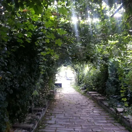 فندق Local Cave House 3*