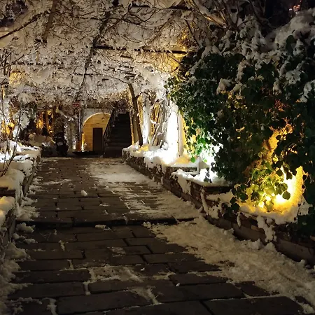 Local Cave House 3*
