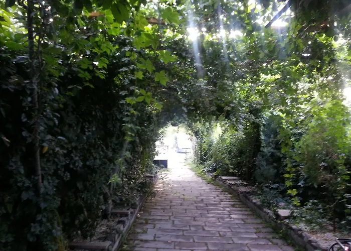 酒店 Local Cave House 3*